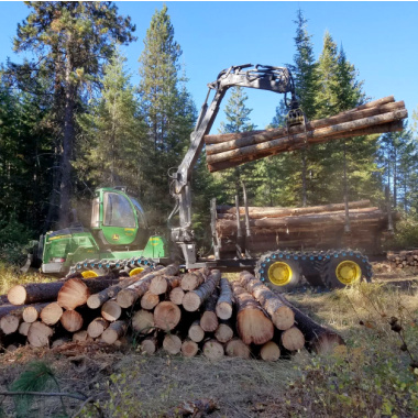 Logging Pic 380 X 380 copy